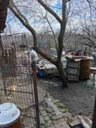 ������ ���� ����� ������. ���� 6