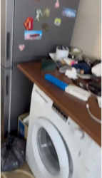 ������ ���� � ��������� ���� 7