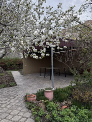 ������� ������� ���. ���� 6