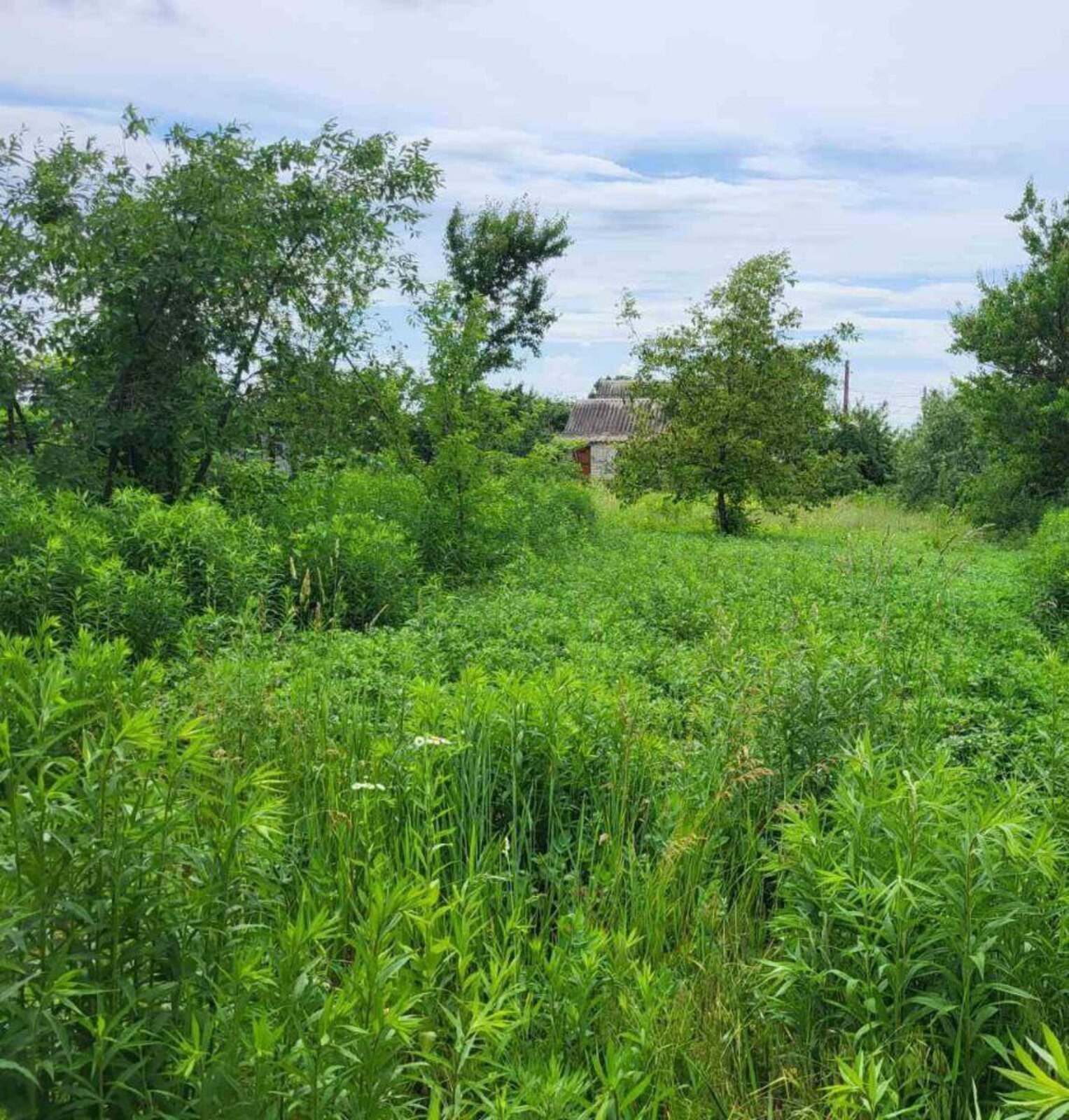 Здається будинок Сумська, Суми, р-н Тепличний фото 1 Здається будинок Сумська, Суми, р-н Тепличний фото 1