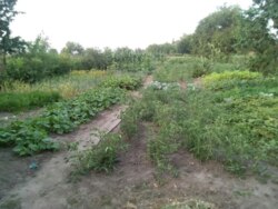 Оренда двоповерхового будинку с.Велика Чернеччина фото 9 Оренда двоповерхового будинку с.Велика Чернеччина фото 9