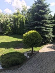   , ',    12