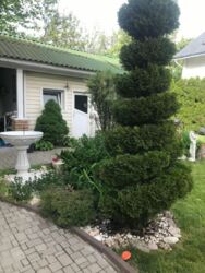   ,   6