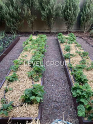 ������ ������� � ��� �������-2 ���� 16