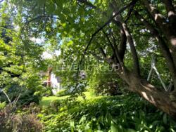 ������� 250 � + 50 � ������� ������, ��� �������, ��������� ����� ���� 5