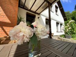 ������� 250 � + 50 � ������� ������, ��� �������, ��������� ����� ���� 3