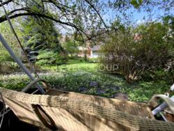 ������� 250 � + 50 � ������� ������, ��� �������, ��������� ����� ���� 13