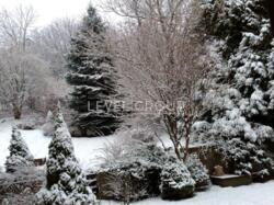 ������� 250 � + 50 � ������� ������, ��� �������, ��������� ����� ���� 20