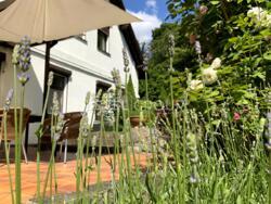 ������� 250 � + 50 � ������� ������, ��� �������, ��������� ����� ���� 19