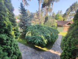 Конча-Заспа, Козин, аренда сруба в живописном месте, лес, охрана. фото 5 Конча-Заспа, Козин, аренда сруба в живописном месте, лес, охрана. фото 5