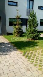 ������� ������� ��������, ����������, ������� ���� 28