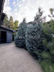 Оренда просторого будинку в Гостомелі, район Ірпінський Луг фото 2 Оренда просторого будинку в Гостомелі, район Ірпінський Луг фото 2