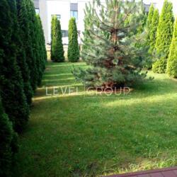 ������� ������� ��������, ����������, ������� ���� 29