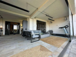 ������� ������� �����, �����������, ������� ���� 6