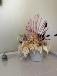 ������� ������� �������, �������, �����������, ������� ���� 24