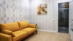 ������ ���������� 650 �² � ������ | ����� ������������ � ���� ���� 15