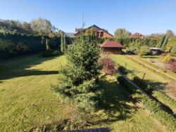 ������� ������� �������, 12, �������, �����������, ������� ���� 20