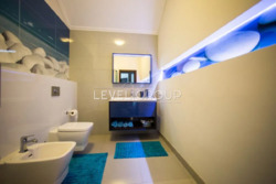 �������� ������� ������-����� 355 �² �� ���. �������� ϲ� �Բ� ���� 16