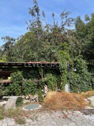 ������ ������� �� ������ 15.�����������, ̳����� ���� 14