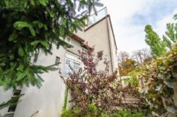 ������� ������� � ����� ���� , ��������).. ���� 19