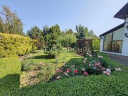 �����-�����, �����, ���������� � ������� � �.�����, ������ �����! ���� 7