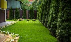 �������� ������� ������-����� 355 �² �� ���. �������� ϲ� �Բ� ���� 3