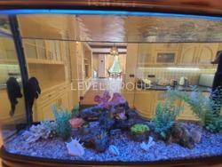 �����-�����, �����, ���������� � ������� � �.�����, ������ �����! ���� 29