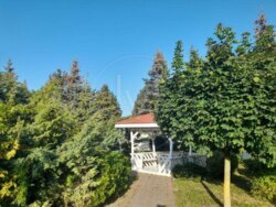 ������ ������� ϳ����� ˳����� ���� 7