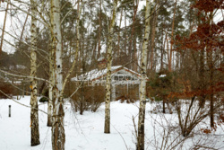 ������ �������������� �������, �.�������, ���������� ����� ���� 39