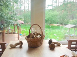 Оренда будинку дачі в лісі під Києвом. фото 14 Оренда будинку дачі в лісі під Києвом. фото 14