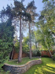 Конча-Заспа, Козин, аренда сруба в живописном месте, лес, охрана. фото 3 Конча-Заспа, Козин, аренда сруба в живописном месте, лес, охрана. фото 3