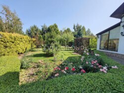 �����-�����, �����, ���������� � ������� � �.�����, ������ �����! ���� 14