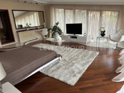 ������ ������� 560 �.��. � �.�. ����� (�����-�����) � �������� ���� 19