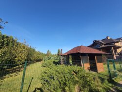 ������� ������� �������, 12, �������, �����������, ������� ���� 16