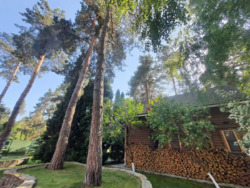 Конча-Заспа, Козин, аренда сруба в живописном месте, лес, охрана. фото 7 Конча-Заспа, Козин, аренда сруба в живописном месте, лес, охрана. фото 7