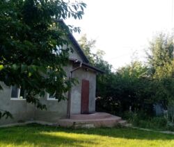 ������ �������, �� ��������� , ���. 1-� ����� ���������      (254� ���� 7