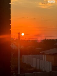 ������ ������ ��������� ������� ���� 20