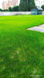 ������� ������� �������, ��� ��������������� ���� 17