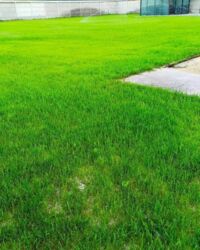 ������� ������� �������, ��� ��������������� ���� 25