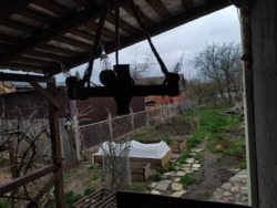 Здається будинок Полтавська, Полтава, Київський, Юрівка фото 2 Здається будинок Полтавська, Полтава, Київський, Юрівка фото 2