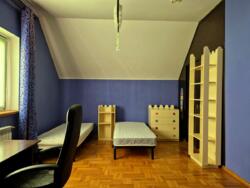 ������� ������� ����������, �����, ����-�������������, ������� ���� 19