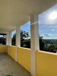 ������� ������� ����� �����'������, ���, ����������� ���� 12