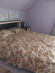 Здається будинок Київ, Дарницький, Садова, 49, м. Осокорки фото 26 Здається будинок Київ, Дарницький, Садова, 49, м. Осокорки фото 26