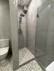 Здається будинок Карпатської Січі, Київ, м. Деміївська фото 15 Здається будинок Карпатської Січі, Київ, м. Деміївська фото 15