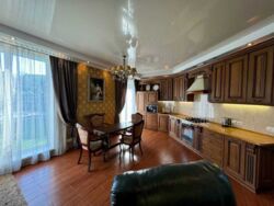 ������� ������� ����������, ���������� ���������, ����-�������������, ������� ���� 7