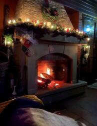 ������� ������� ����������, �����, ����-�������������, ������� ���� 11