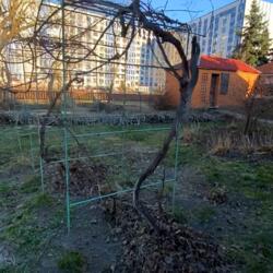 ������� ������� ������������, 19, ���, ����������, �. �������� ���� 20