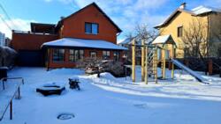 ������� ������� ����������, �����, ����-�������������, ������� ���� 1