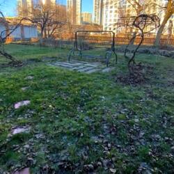 ������� ������� ������������, 19, ���, ����������, �. �������� ���� 19