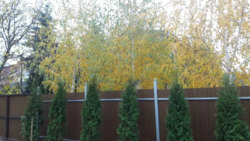 Здається будинок Київ фото 3 Здається будинок Київ фото 3